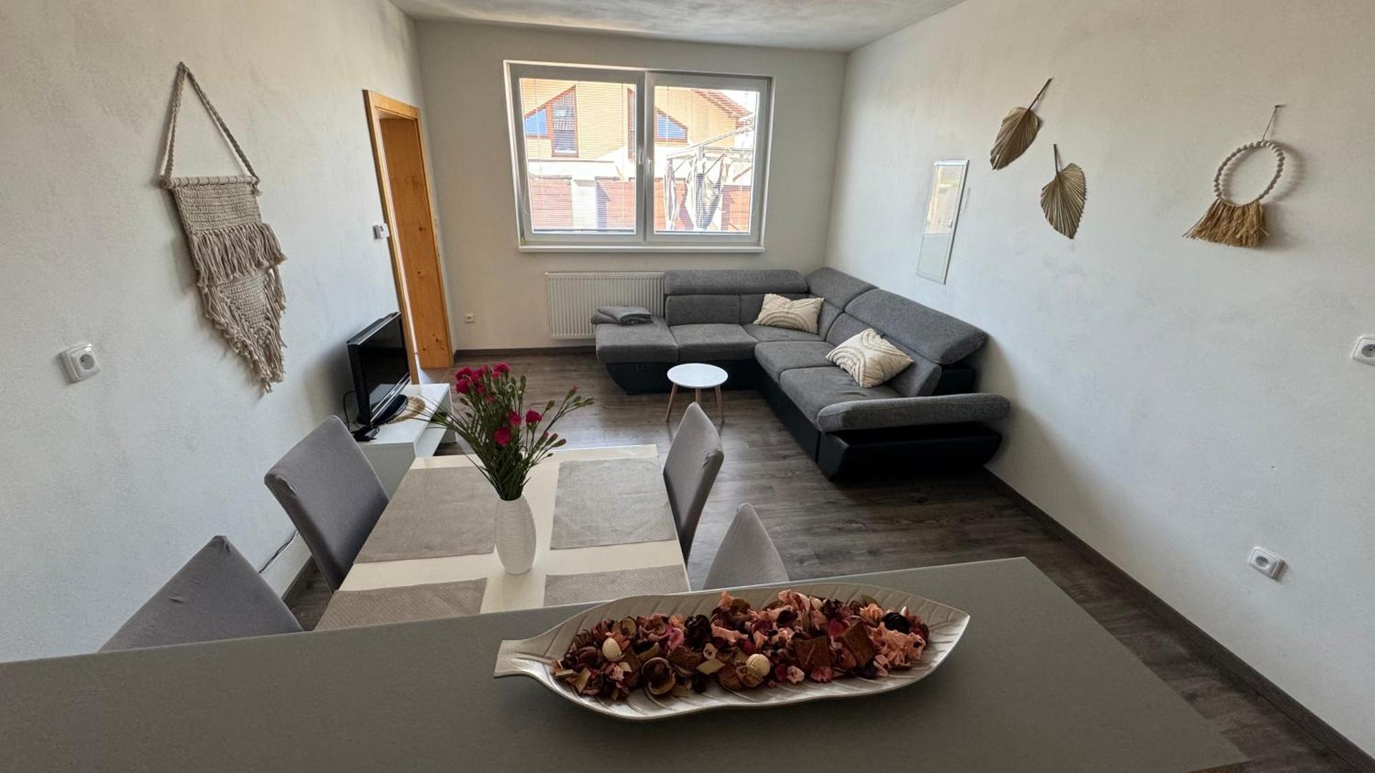 Borovany  Apartman Lilly מראה חיצוני תמונה